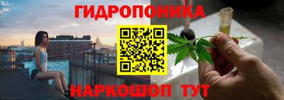 твердый Заводоуковск