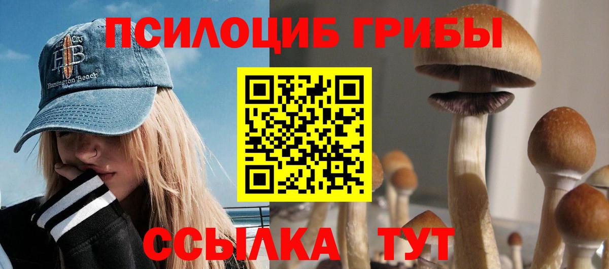Псилоцибиновые грибы Magic Shrooms  Вход с VPN  где можно купить наркотик  Псилоцибиновые грибы прущие грибы  Екатеринбург 